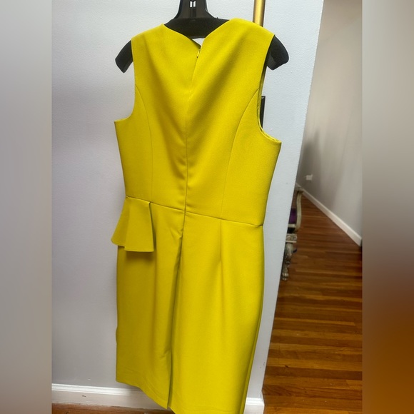 This is a beautiful sheath dress. When you put it on it feels and looks amazing - Picture 3 of 3